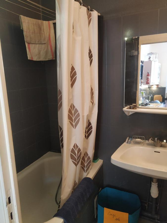 Chaleureux Studio Independant Encausse-les-Thermes Dış mekan fotoğraf