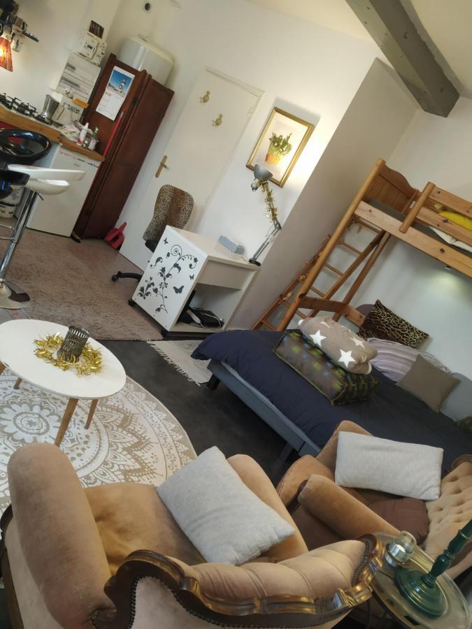 Chaleureux Studio Independant Encausse-les-Thermes Dış mekan fotoğraf